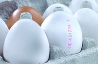 маркировка яйца